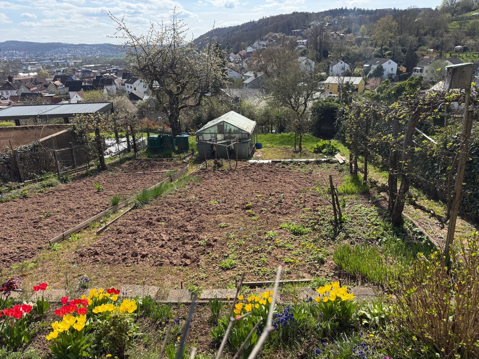 Gartengrundstück in den Hirse Gärten