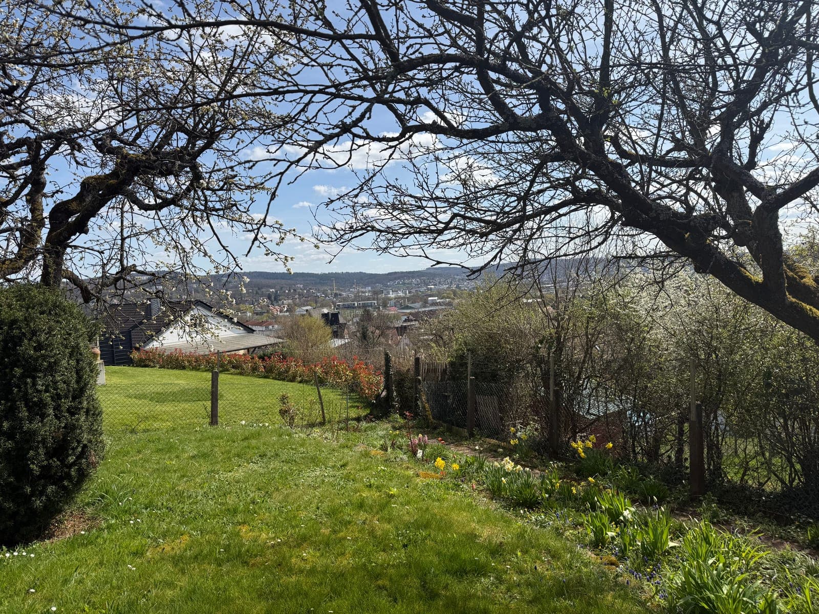 Gartengrundstück in den Hirse Gärten