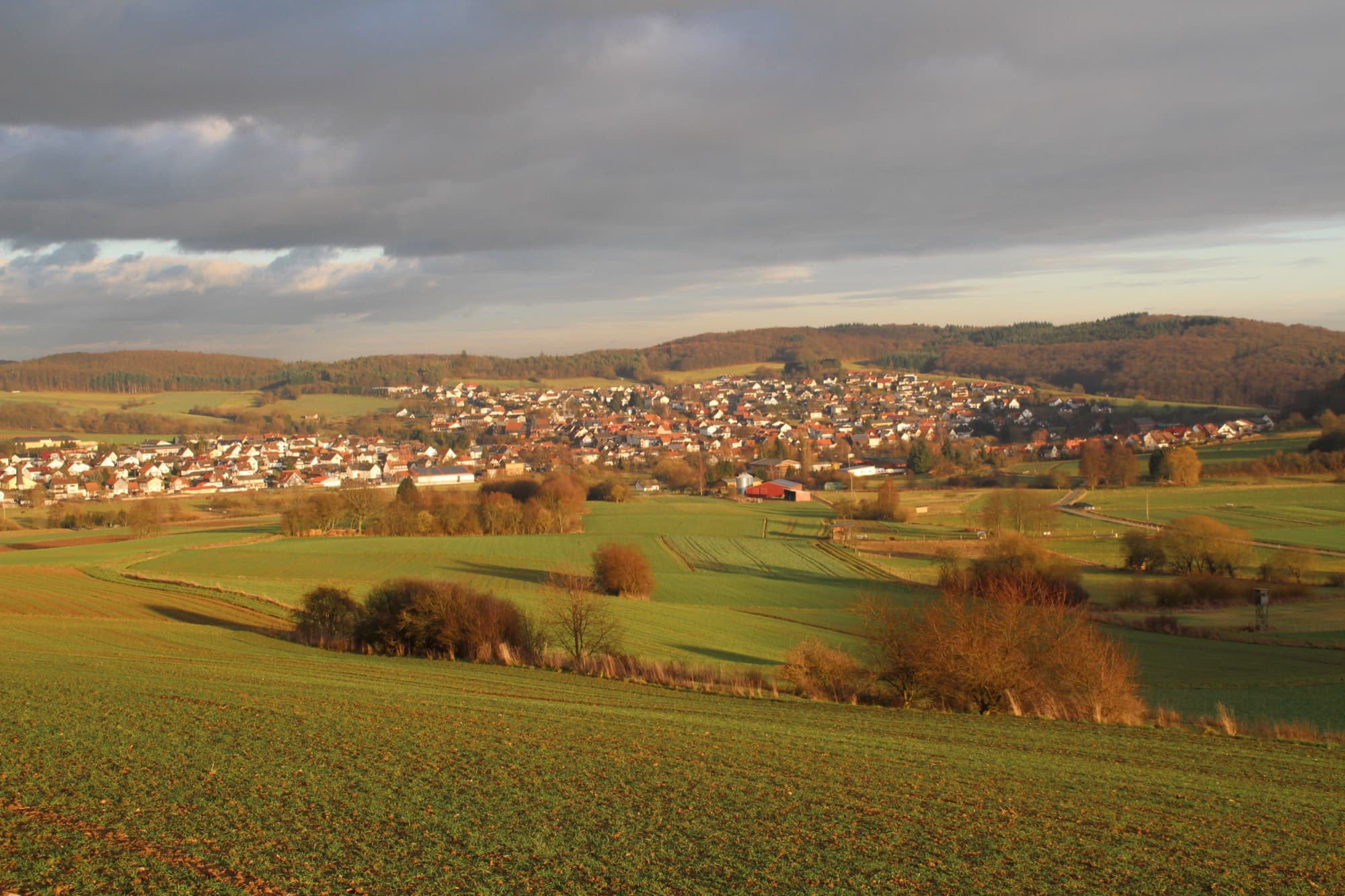 Blick über Felder und Wiesen auf den Ort Lohra vor bewaldeten Hügeln